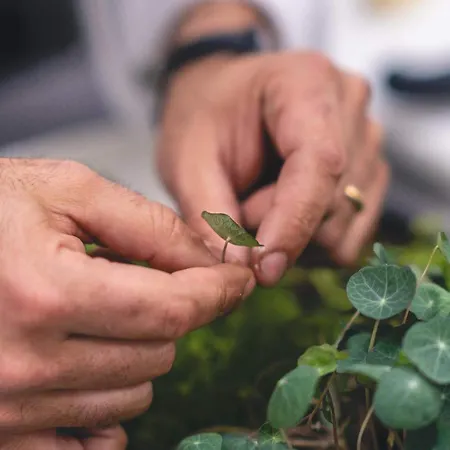 Casena Mongerrati Farm stay *